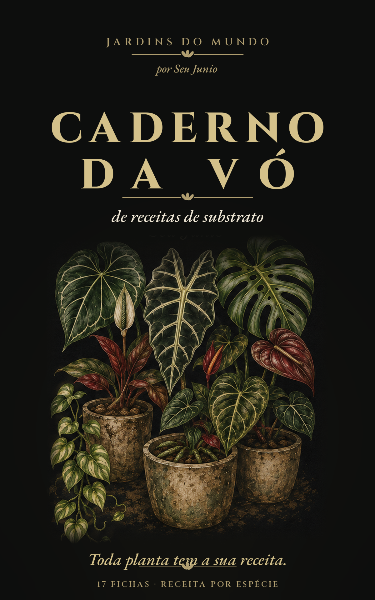 Capa do Caderno de Receitas do Seu Junio