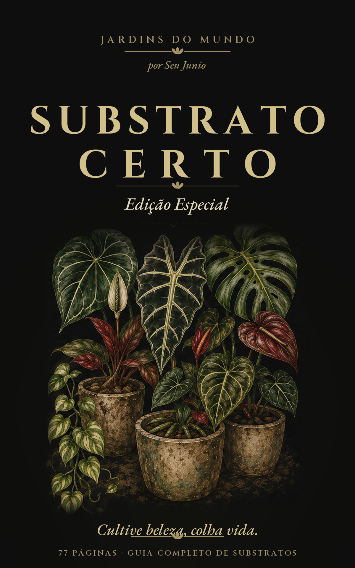 Capa do eBook Substrato Certo